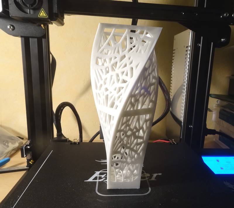 Vase twisté VORONOI