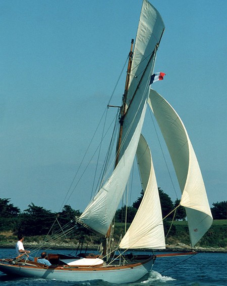 seagull grandeur en navigation